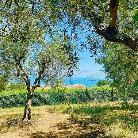 Villa In Collina Vista Mare Roseto Degli Abruzzi Exteriör bild