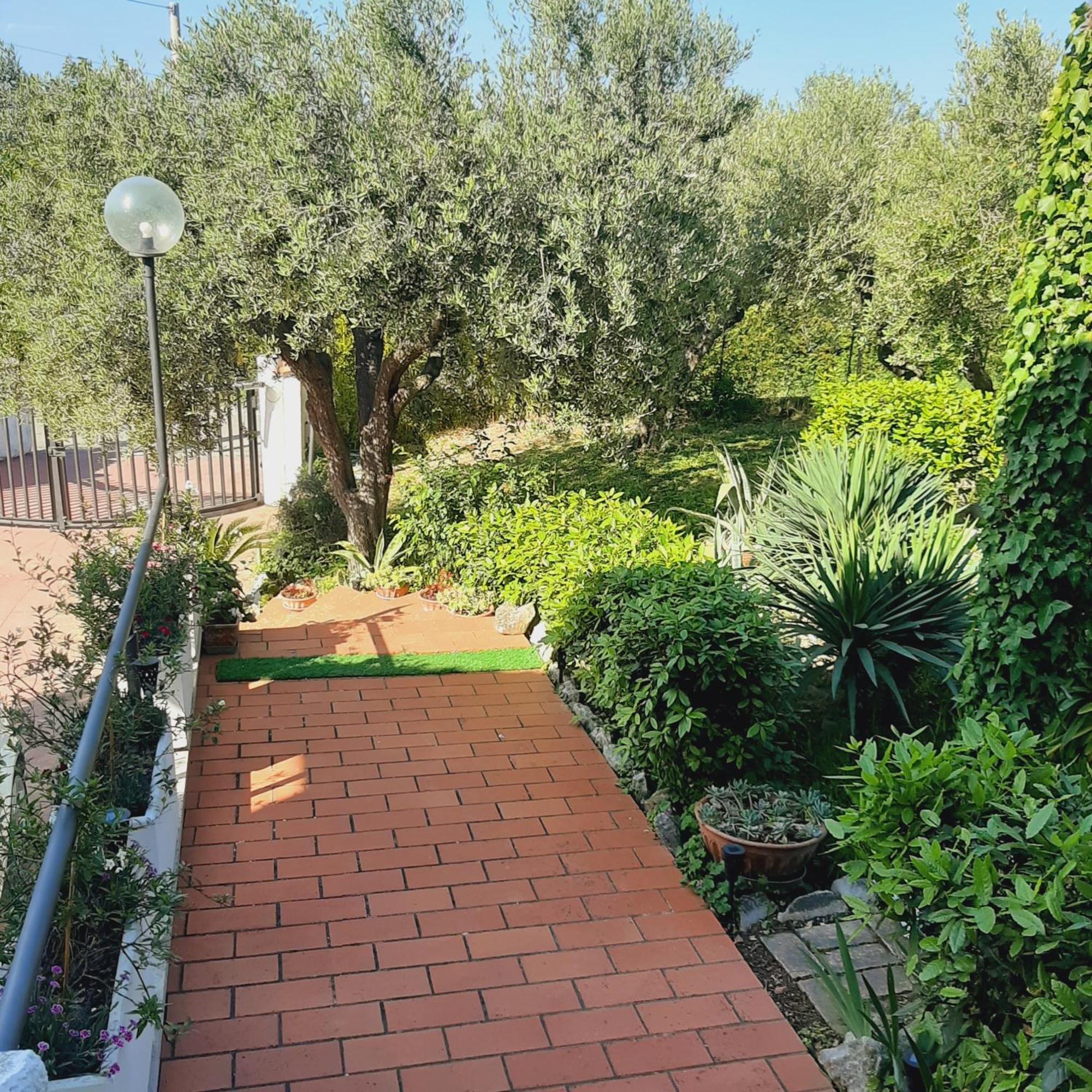 Villa In Collina Vista Mare Roseto Degli Abruzzi Exteriör bild