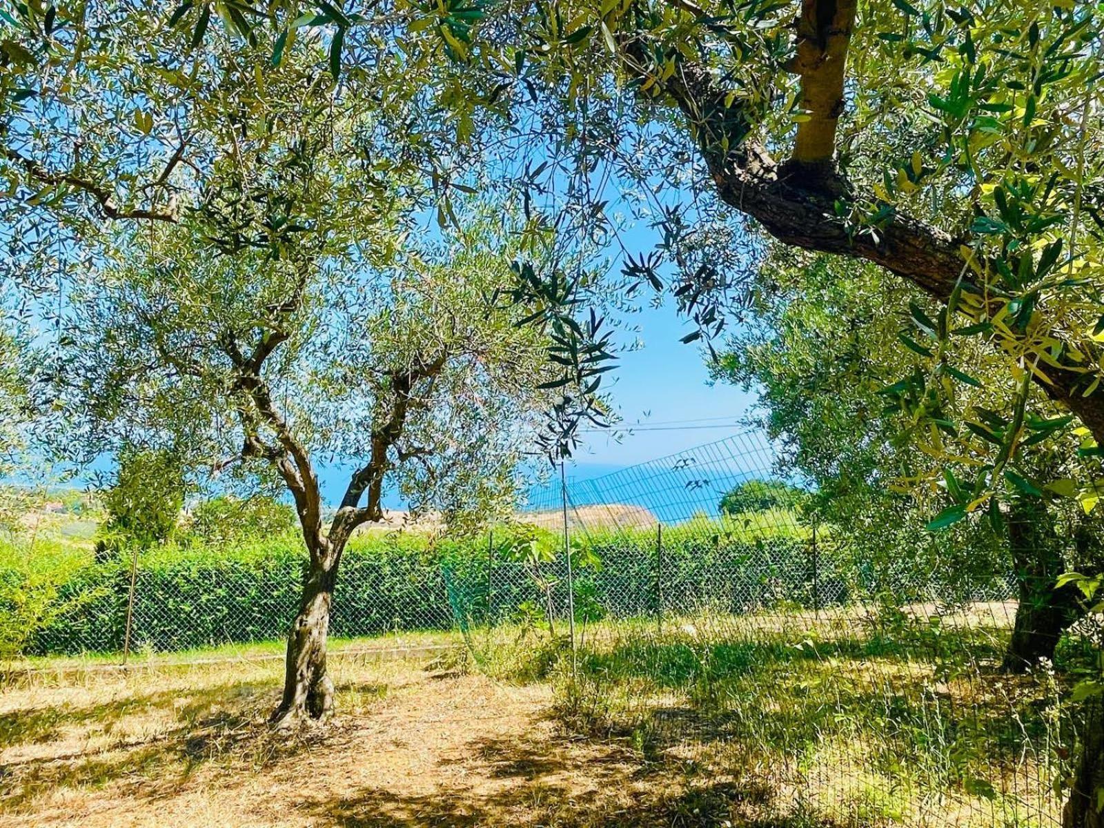 Villa In Collina Vista Mare Roseto Degli Abruzzi Exteriör bild
