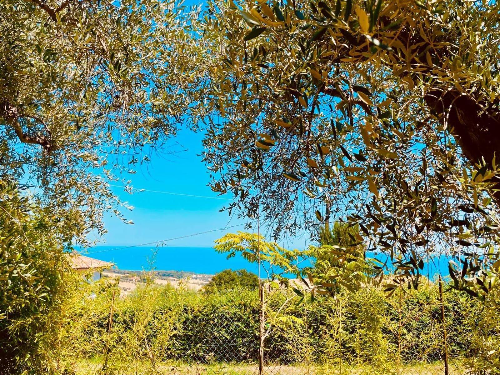 Villa In Collina Vista Mare Roseto Degli Abruzzi Exteriör bild